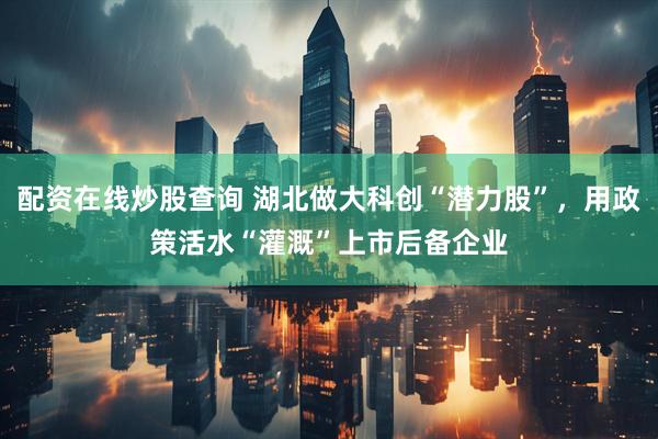 配资在线炒股查询 湖北做大科创“潜力股”，用政策活水“灌溉”上市后备企业