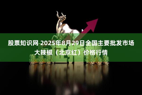 股票知识网 2025年8月29日全国主要批发市场大辣椒（北京红）价格行情