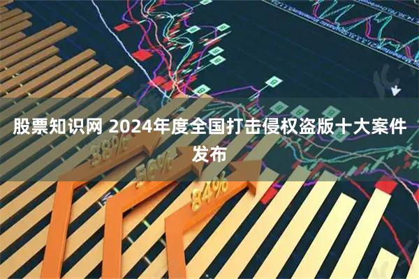 股票知识网 2024年度全国打击侵权盗版十大案件发布